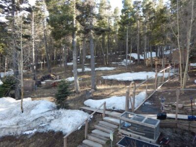 Why Gardening at High Elevation Is Challenging Image